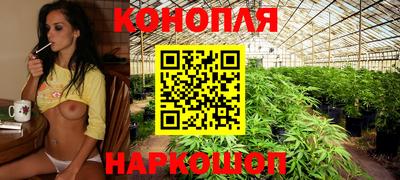 хмурый Донской