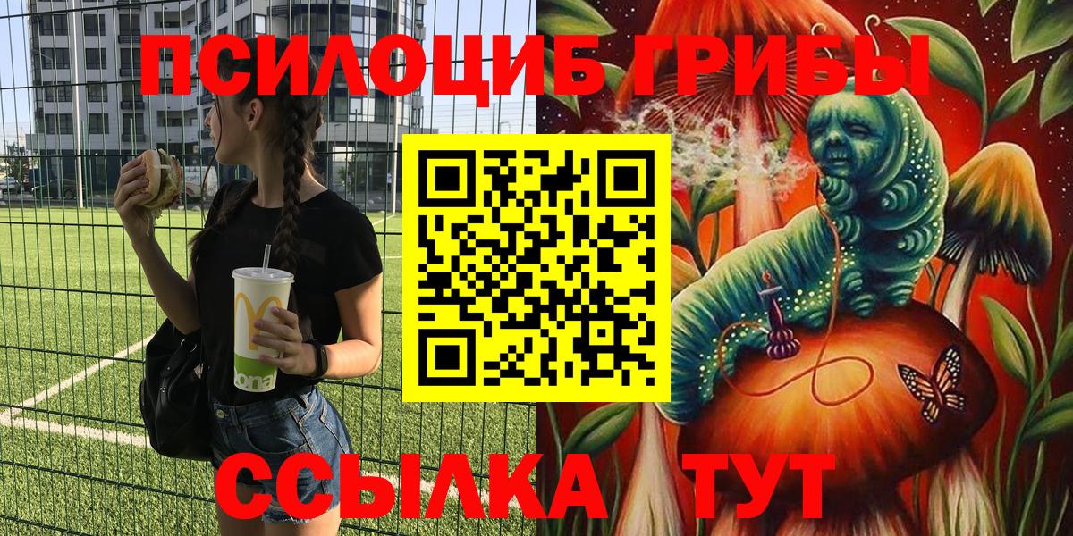 Псилоцибиновые грибы Cubensis  Вход с VPN  Мурманск 